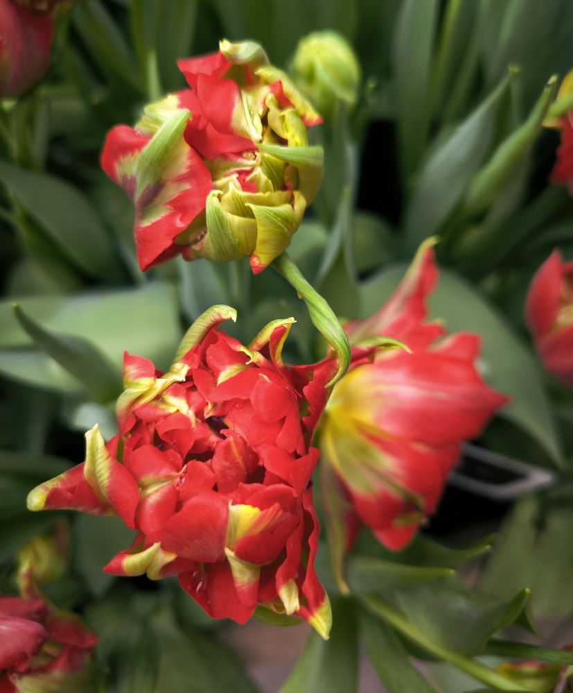 Photograph by Ольга Стоун