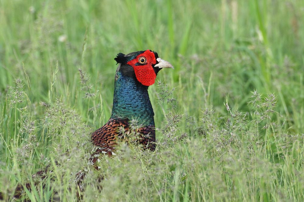 Photograph by Анатолий Садовский