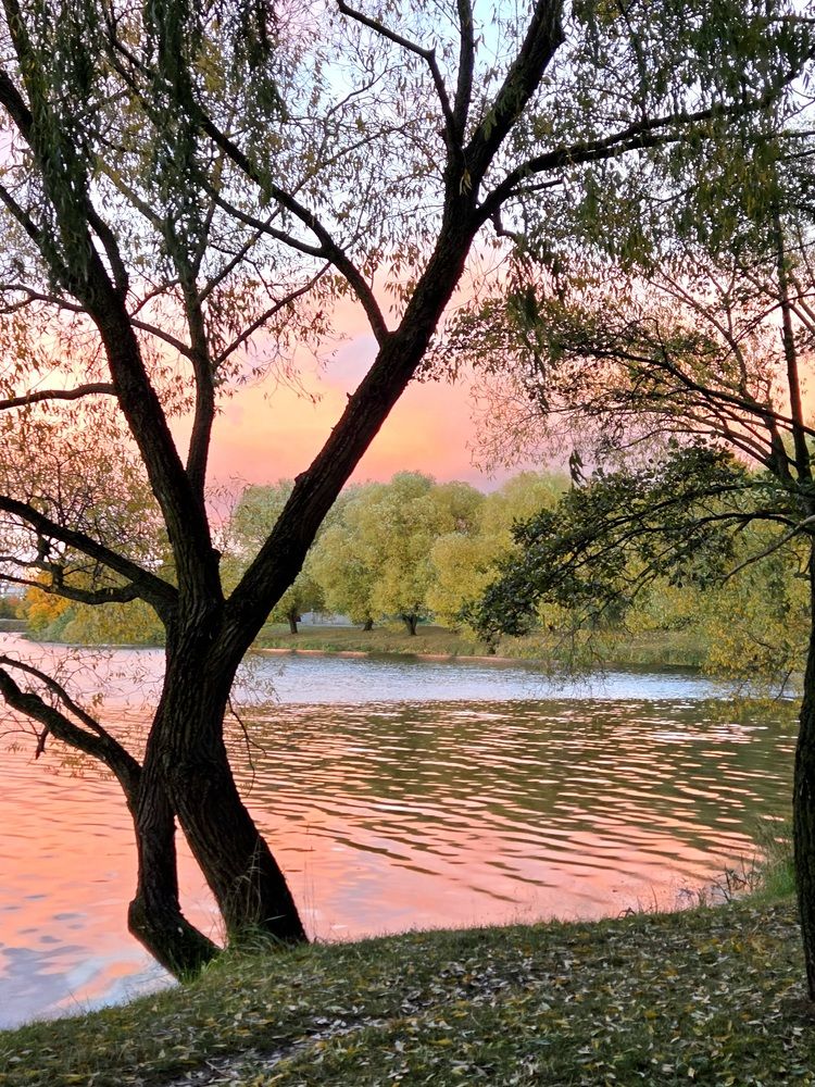 Фотография автора Elena Polonetskaya