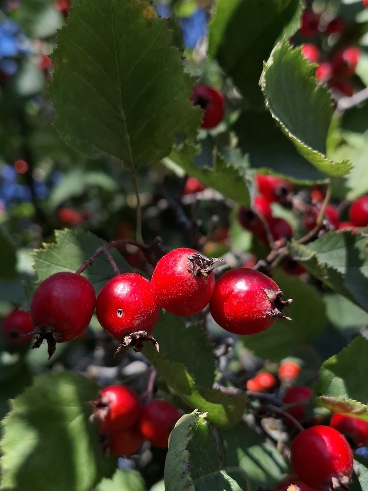 Photograph by Катерина Солдатова