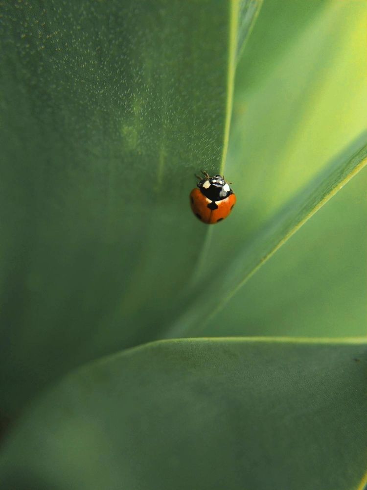 Фотография автора Наталья Алексеева