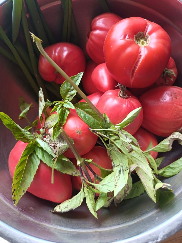 Photograph by Анна Колесникова