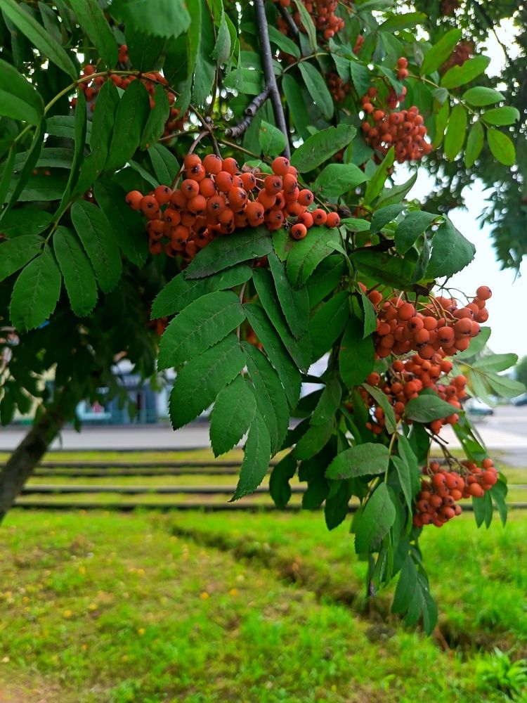Photograph by Анна Колесникова