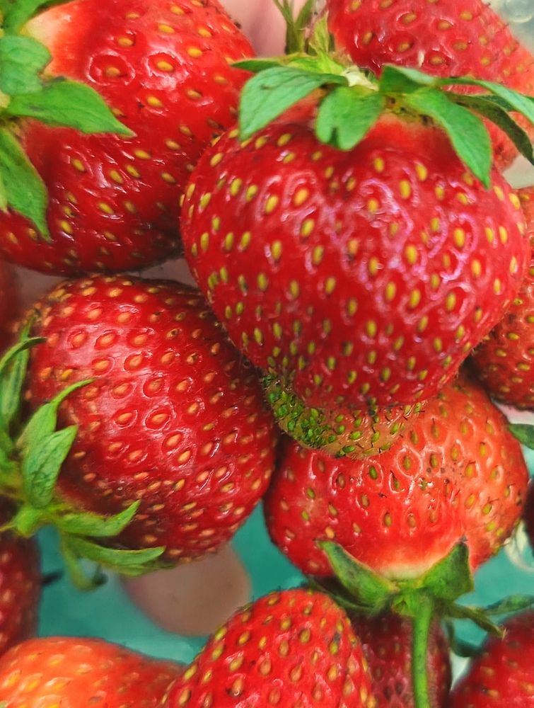 Photograph by Анна Колесникова