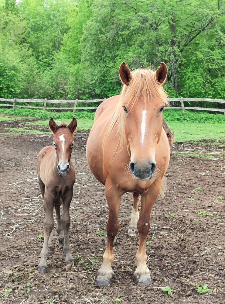 Photograph by Юлия Холомцева