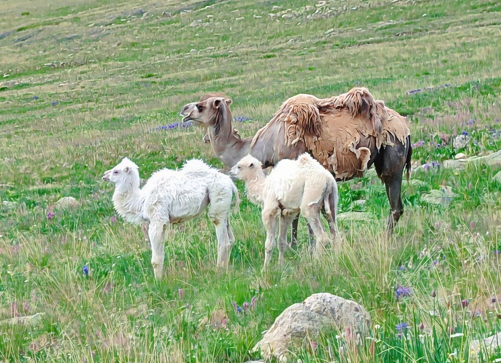 Photograph by Юлия Холомцева