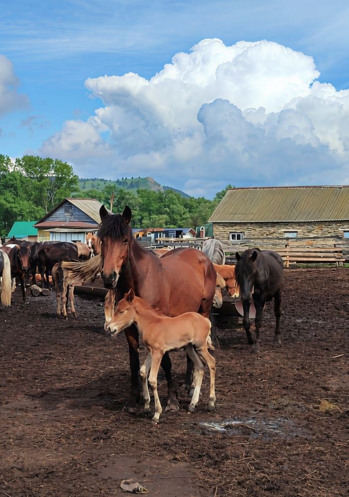 Photograph by Юлия Холомцева