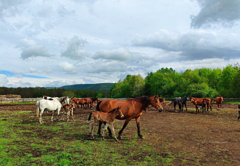 Photograph by Юлия Холомцева