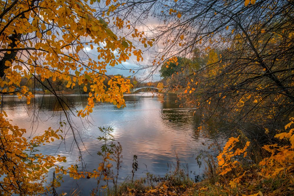 Фотография автора Сережин Сережа