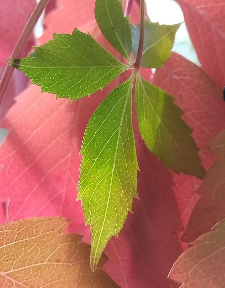 Photograph by Татьяна