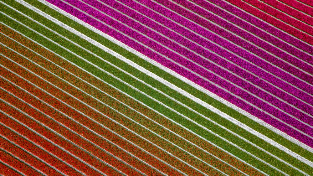 Photograph by Matteo Strassera