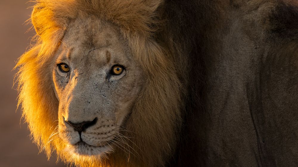 Photograph by Matteo Strassera