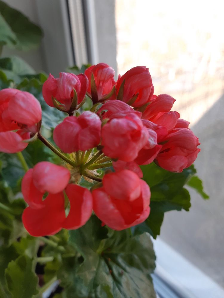 Фотография автора Валентина