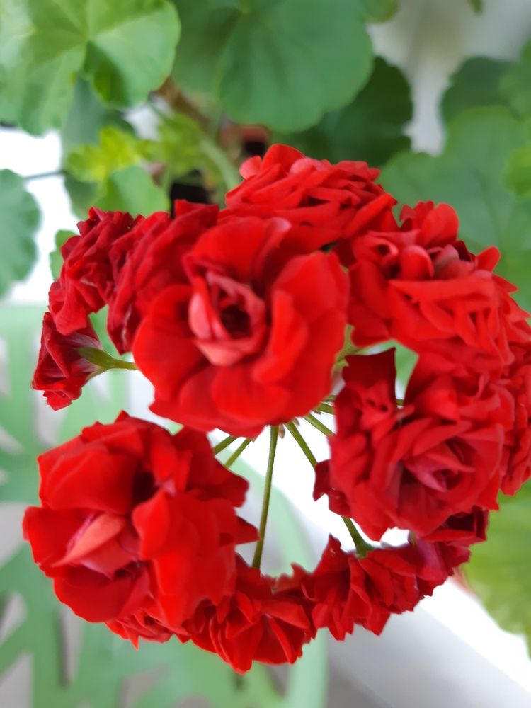 Фотография автора Валентина