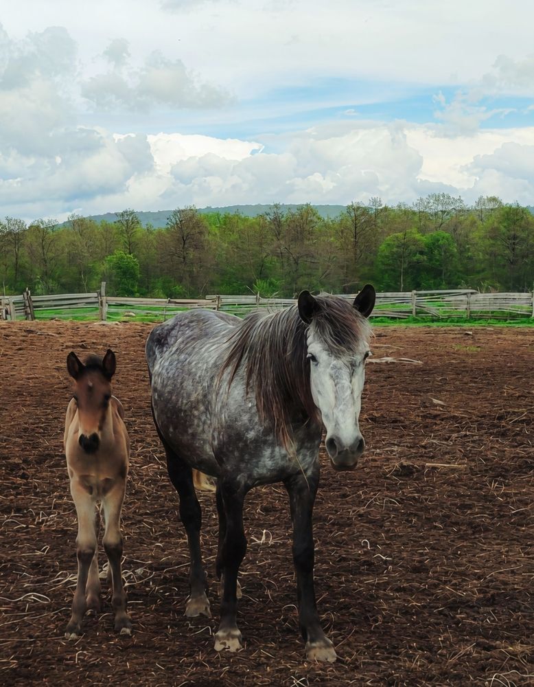 Photograph by Юлия Холомцева