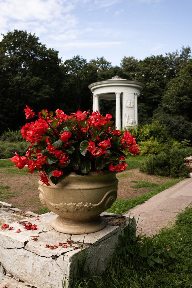 Photograph by Юлия Шевцова