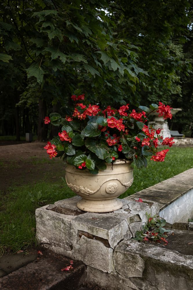 Photograph by Юлия Шевцова