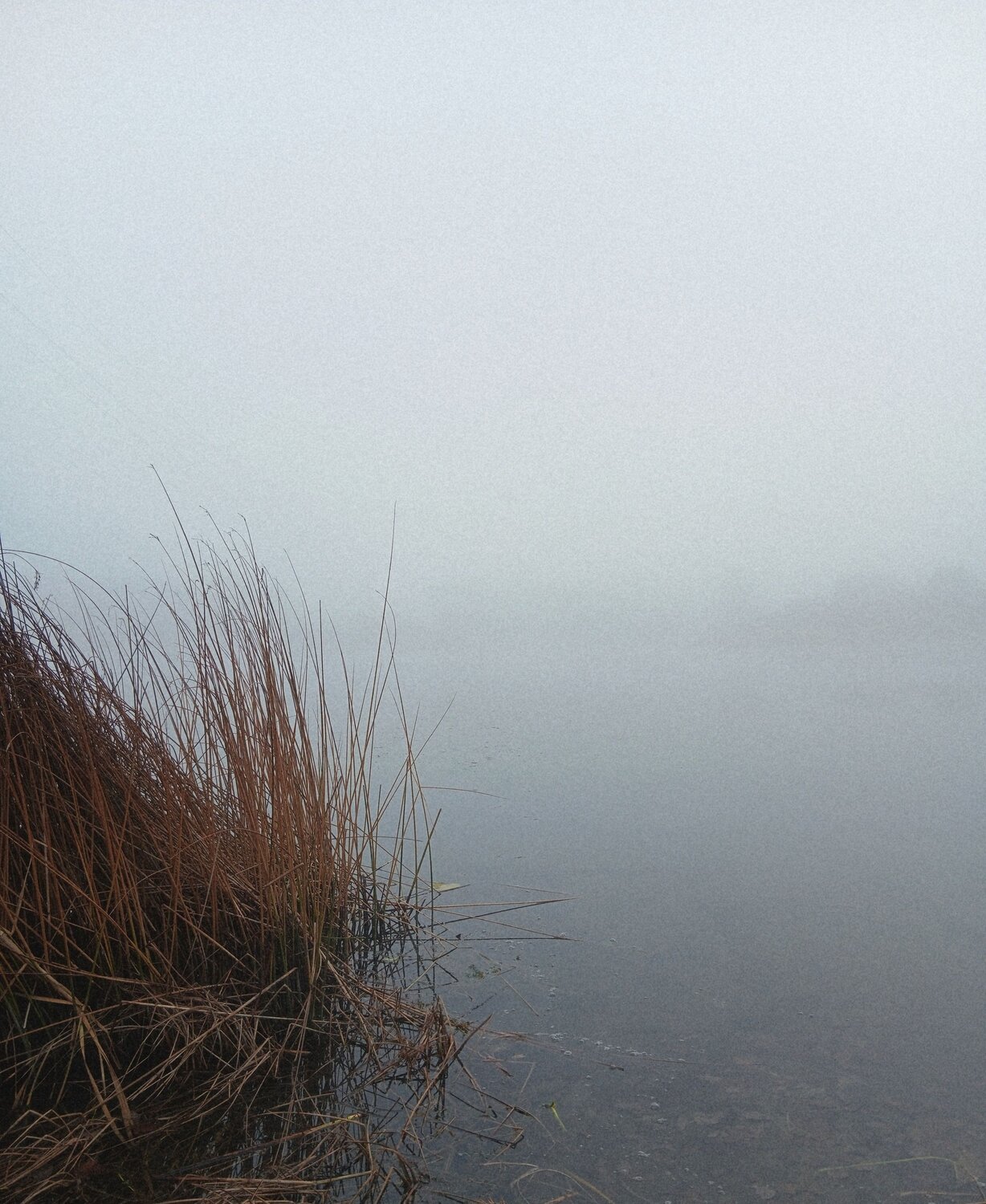 Photo #12752604