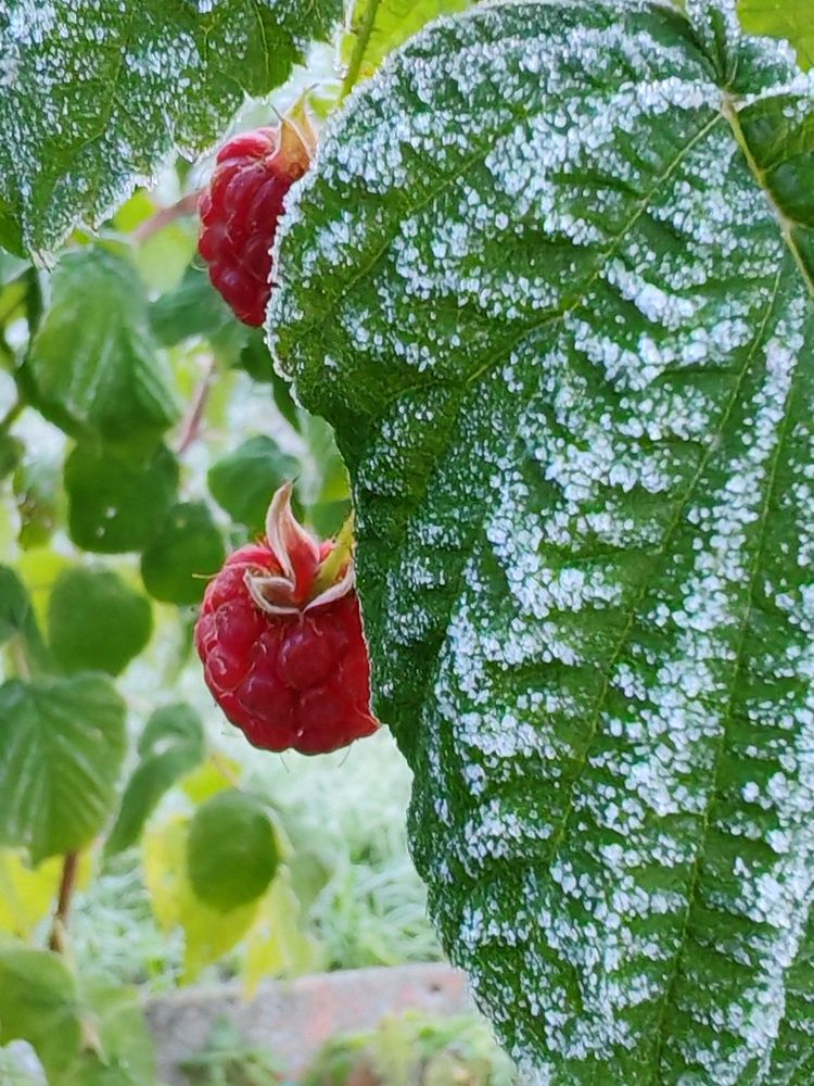 Photograph by Светлана Васильева