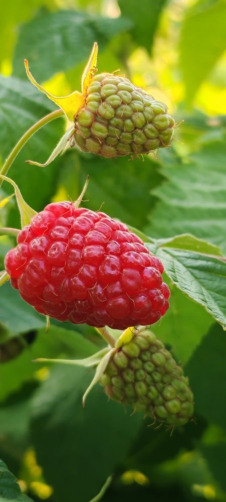 Photograph by Светлана Васильева