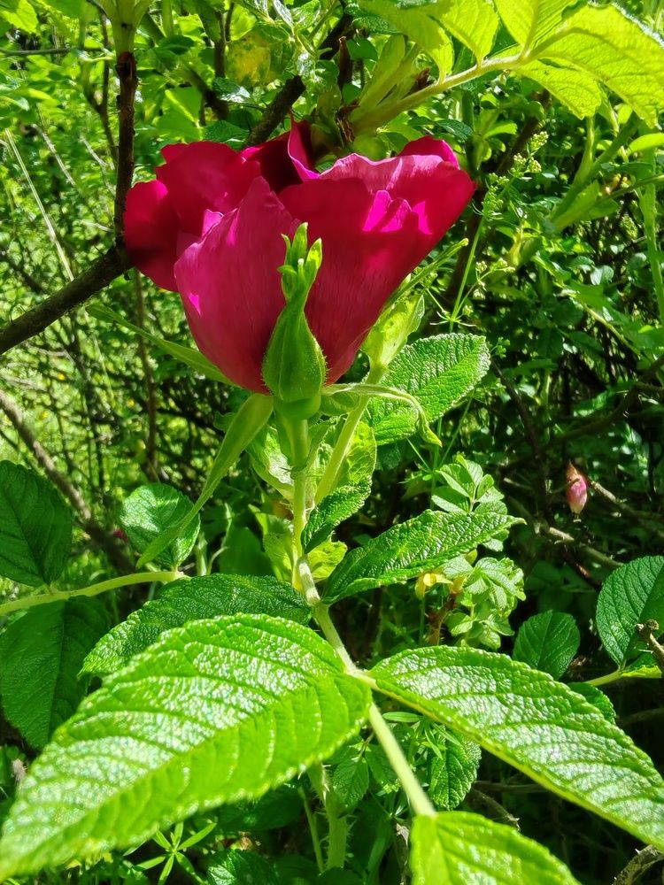 Photograph by Светлана Васильева