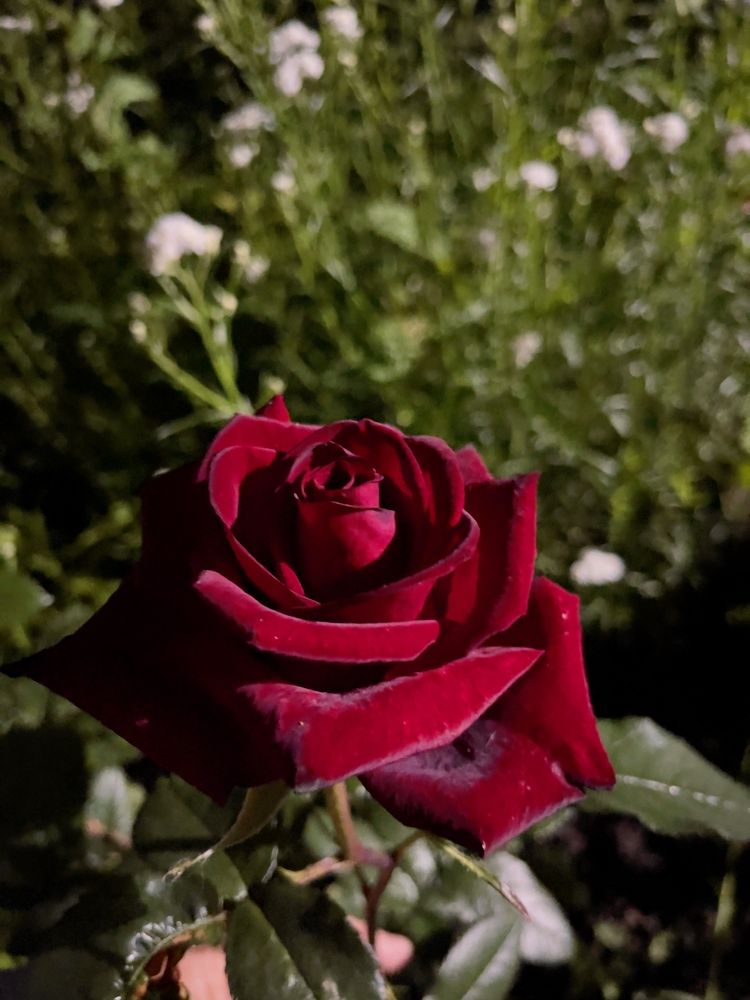 Photograph by Александр Михайлович