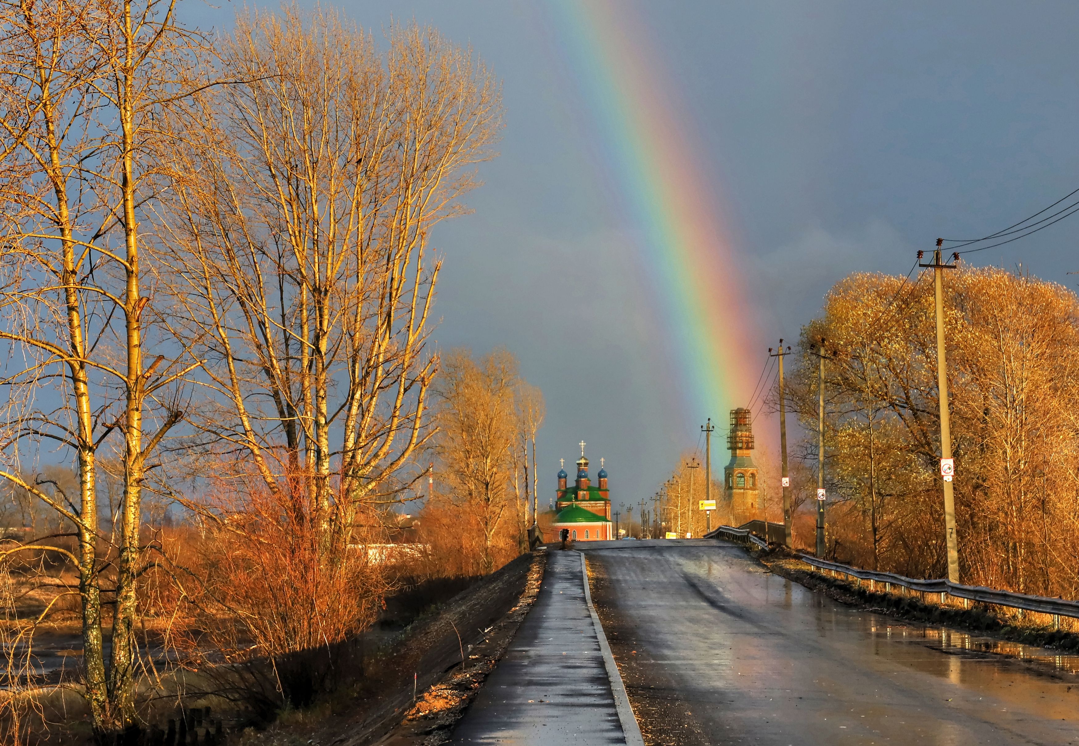 Фотография автора Светлана Бакулина