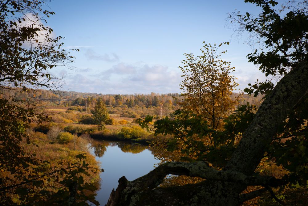 Photograph by Ольга