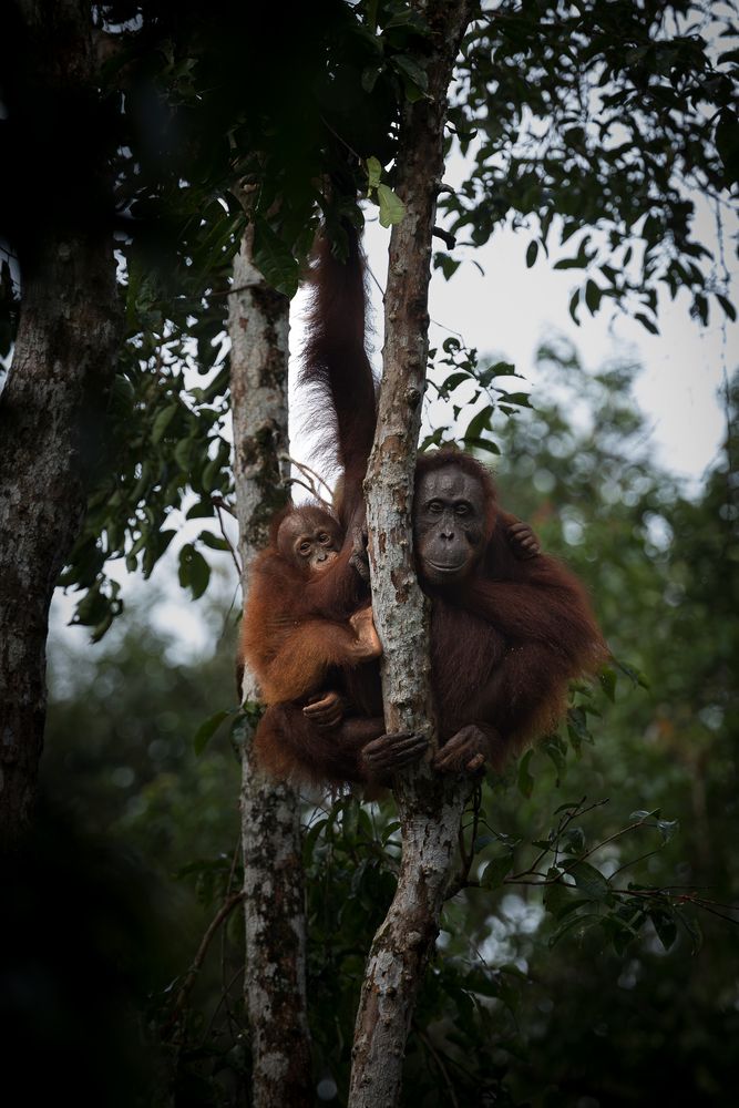 Photograph by Benoit Rondelet