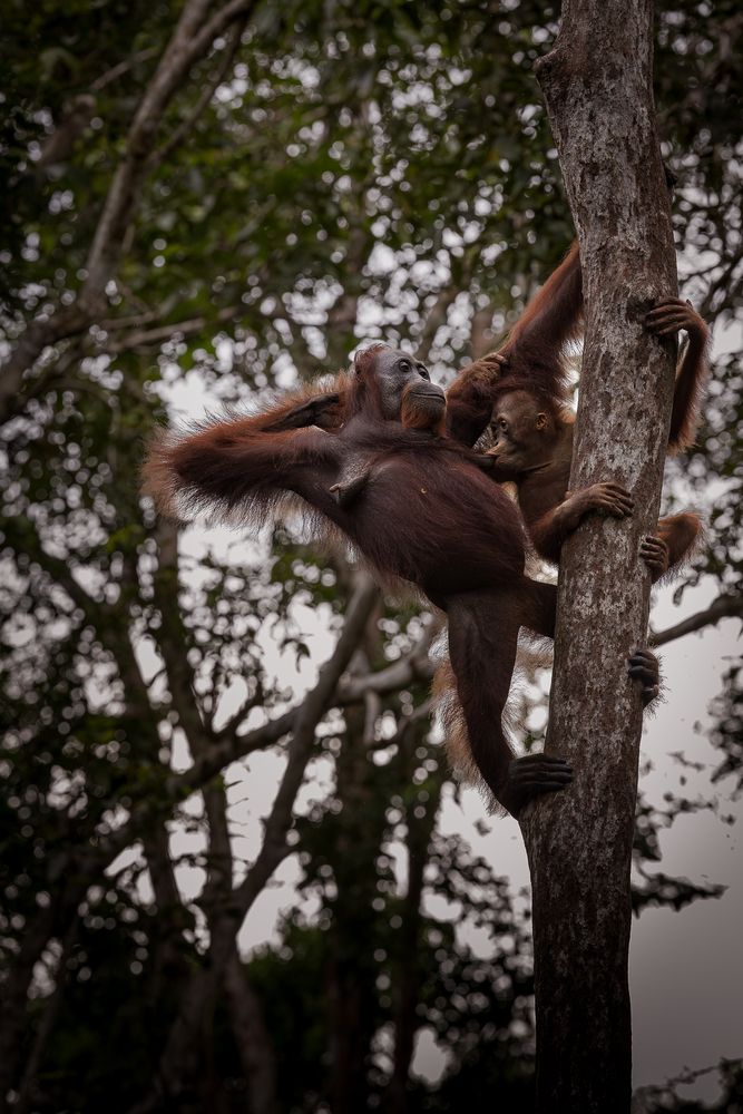 Photograph by Benoit Rondelet