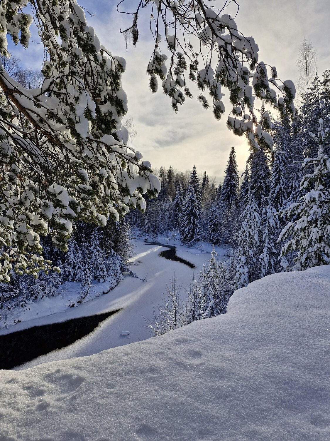 Photo #12752752