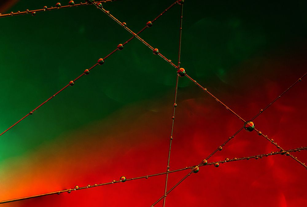 Photograph by Николай Захаров