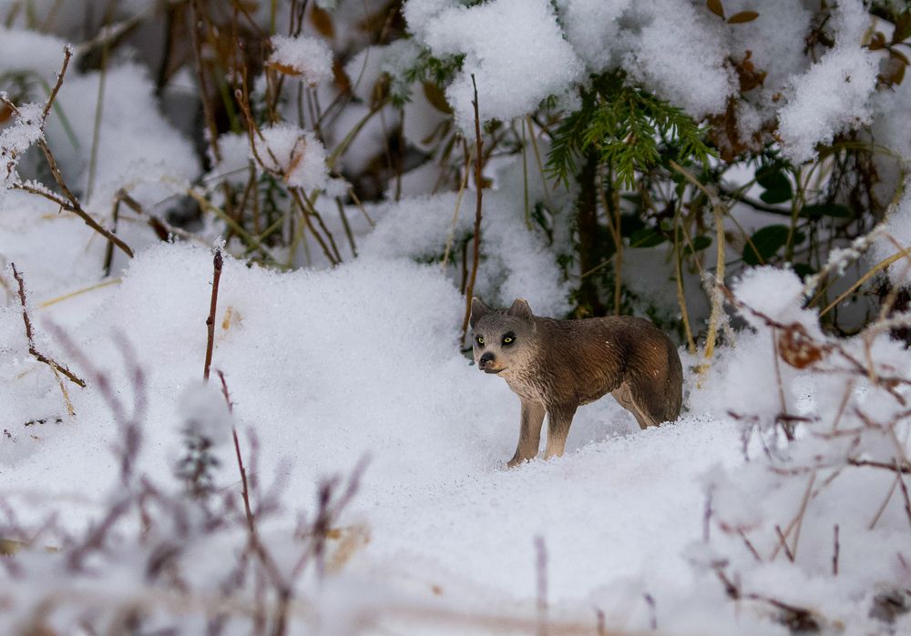 Фотография автора Viktoriya Kim