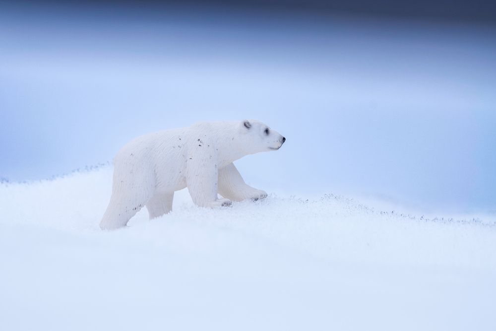 Фотография автора Viktoriya Kim