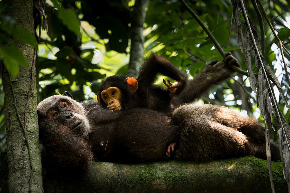 Photograph by Benoit Rondelet