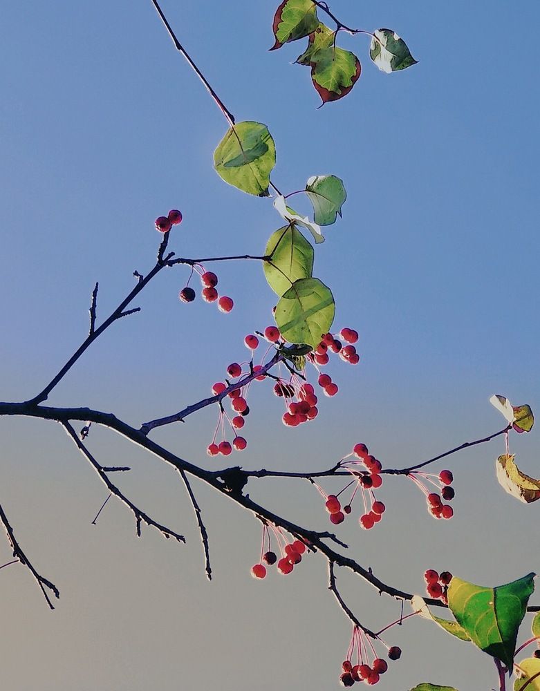 Photograph by Татьяна Гулакова