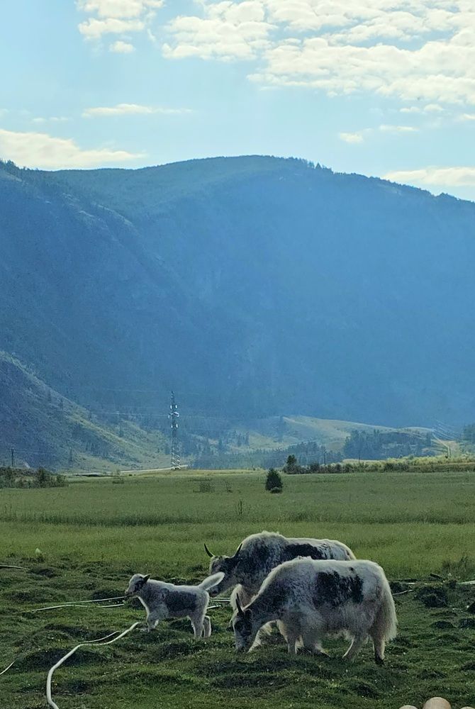 Фотография автора Евгения Рудакова