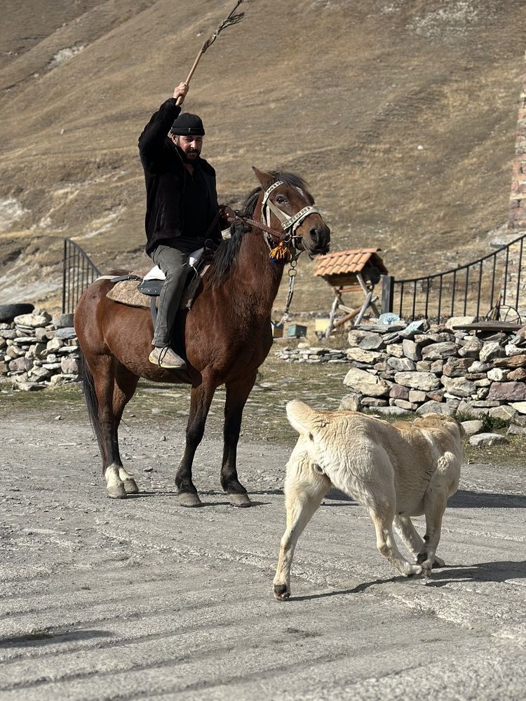 Photograph by Елена Наумова