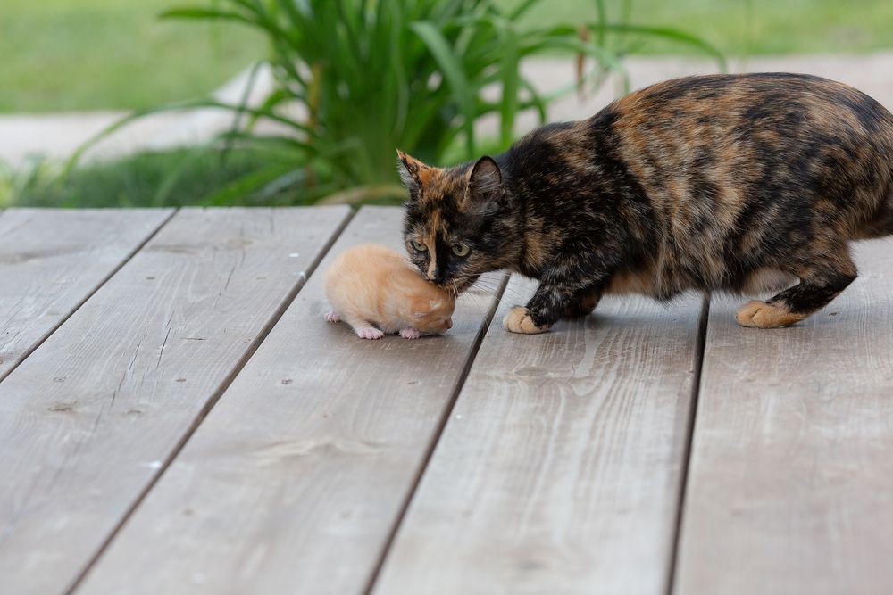 Photograph by Чистякова Валерия