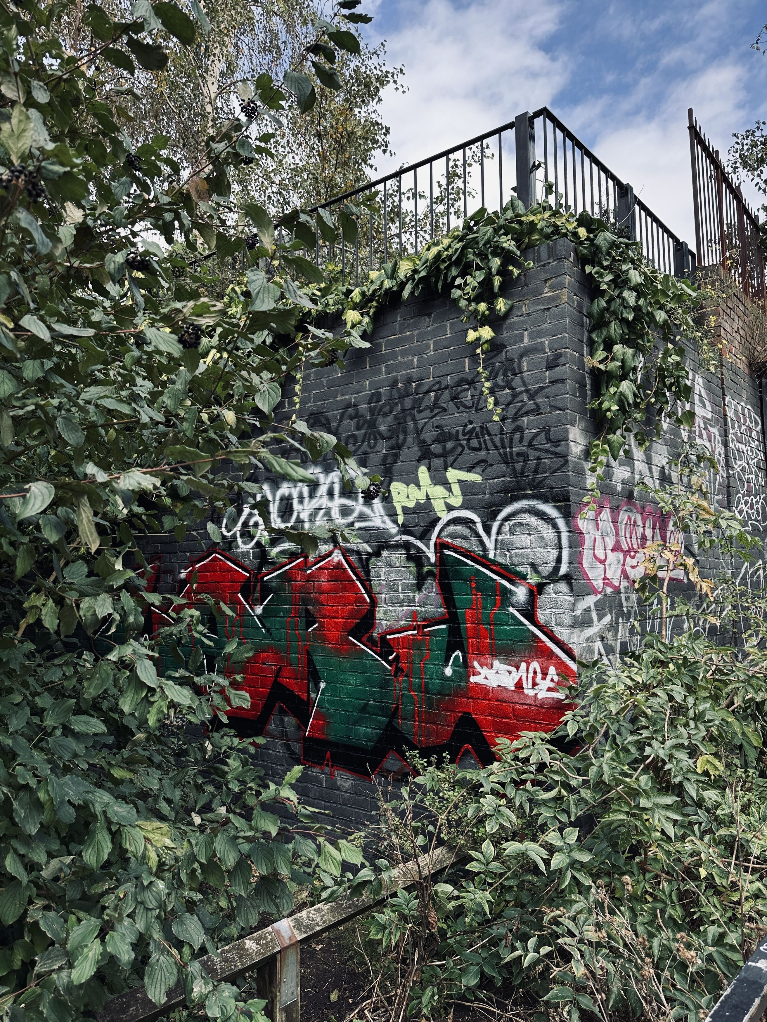 Photograph by Светлана Ионова