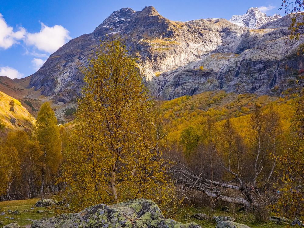 Photograph by Игорь Кабанов