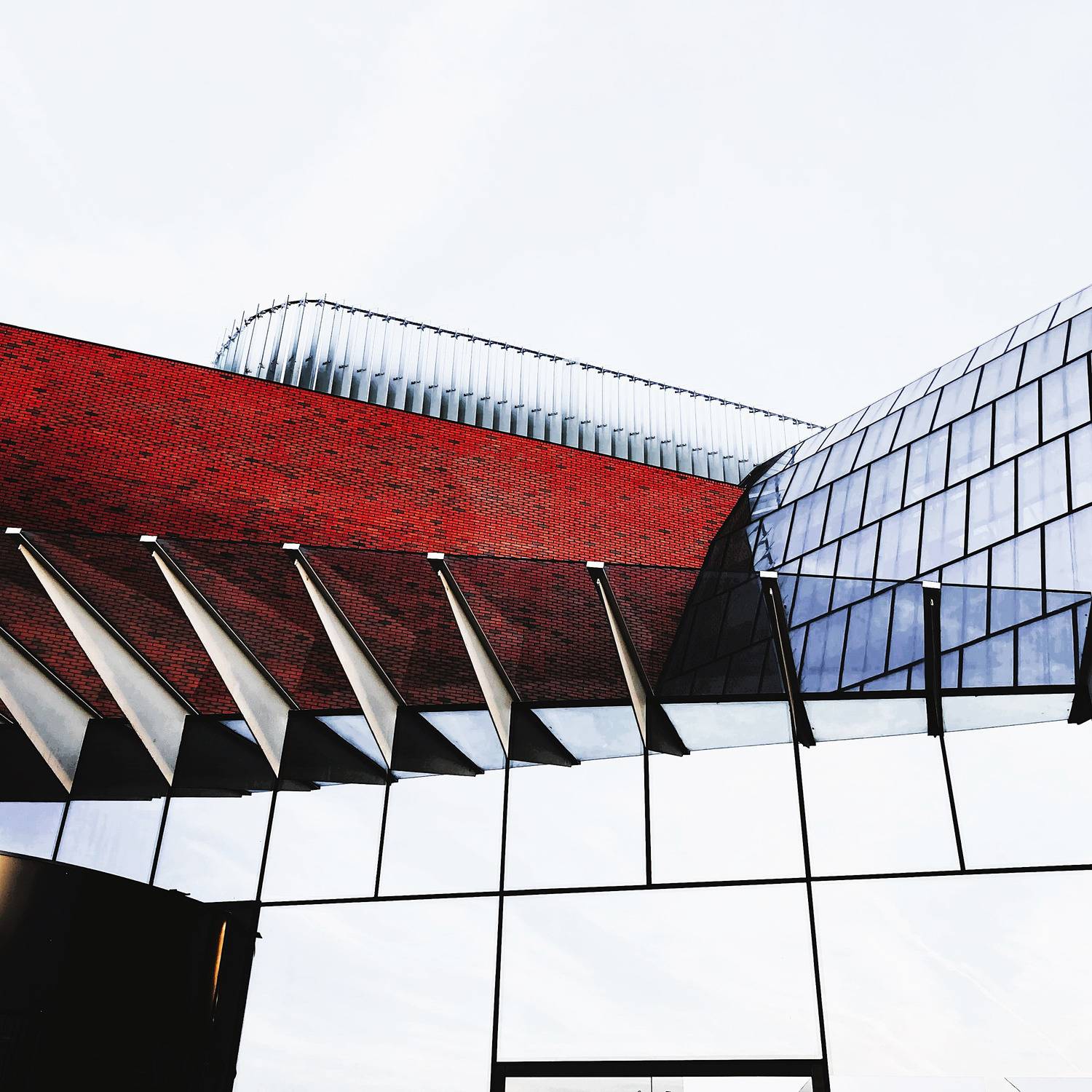 Фотография #12752921