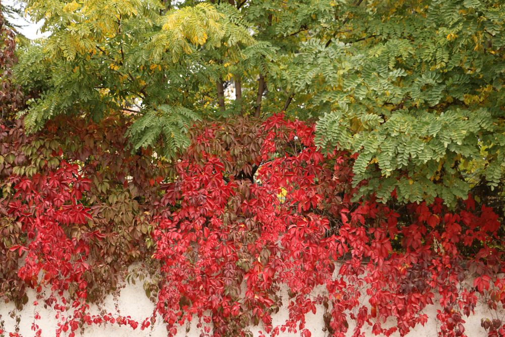 Photograph by Cengiz Yalcin