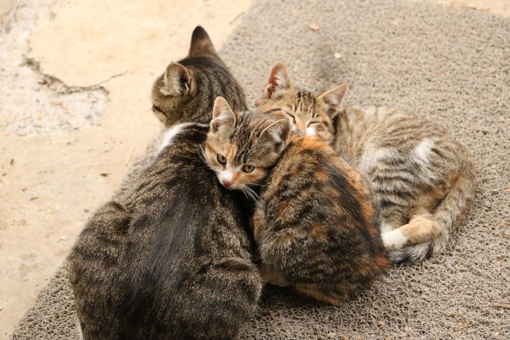 Photograph by Cengiz Yalcin