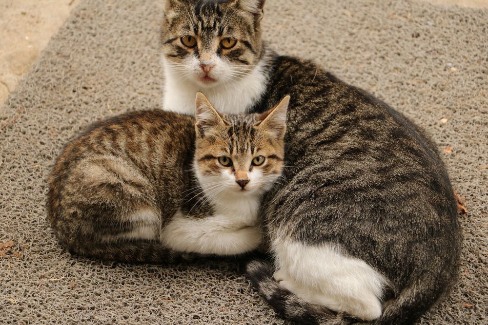 Photograph by Cengiz Yalcin