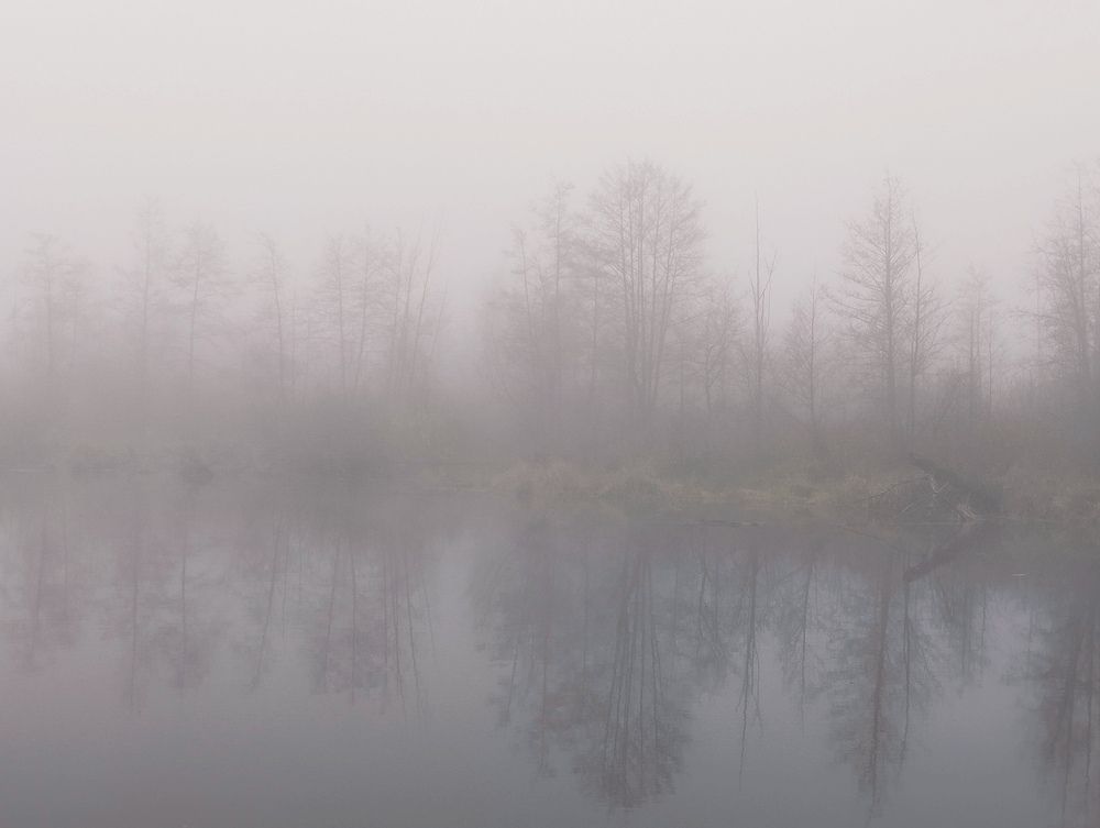 Photograph by Маргарита