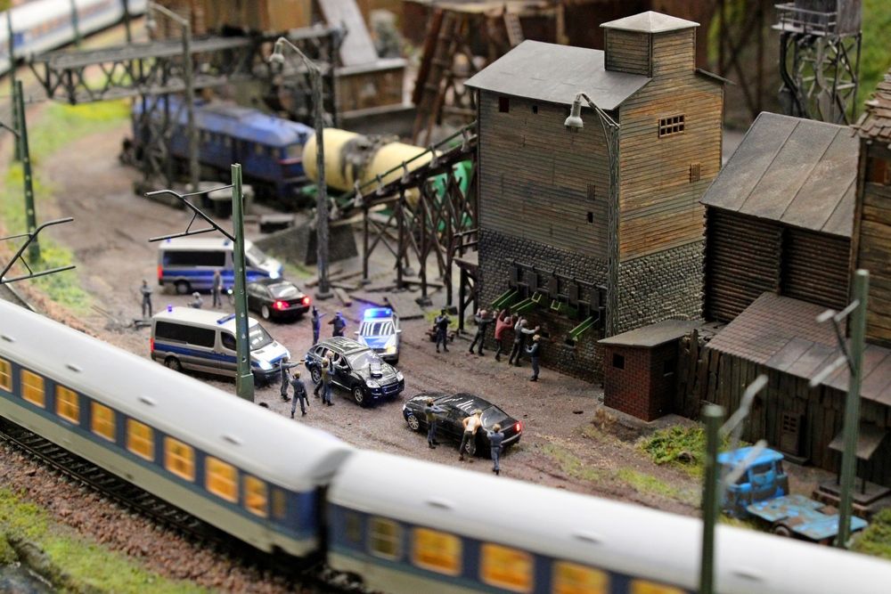 Фотография автора Ольга Ситникова