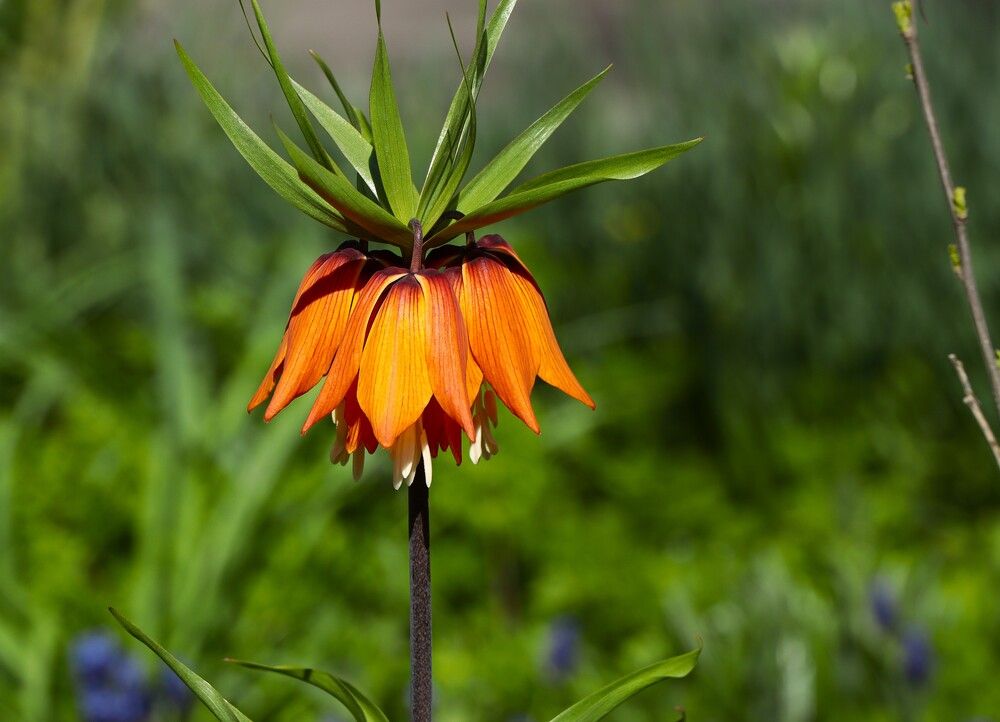 Photograph by Игорь Куленко