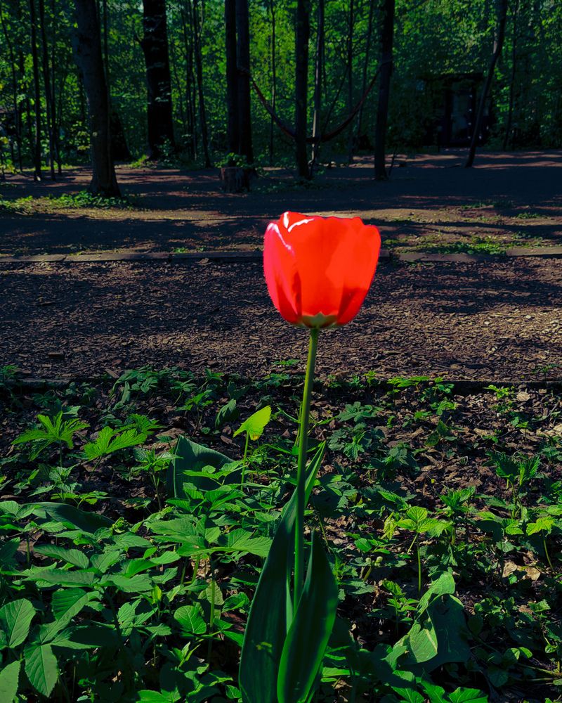 Photograph by Марина Соловьева