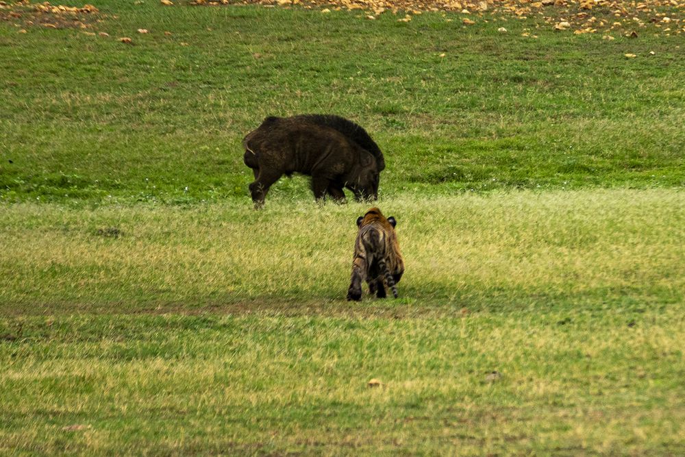 Life skills need practicing